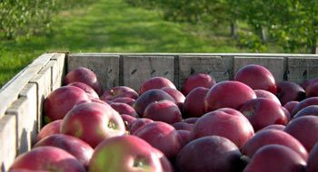 Washington Island Fall Fun Fest