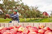 Fall "Foodie" Appeal Grows in Door County Fall "Foodie" Appeal Grows in Door County