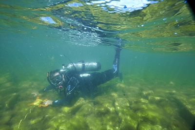 Shipwrecks
