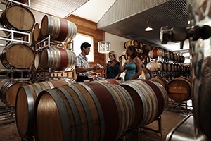 Wine & Wineries