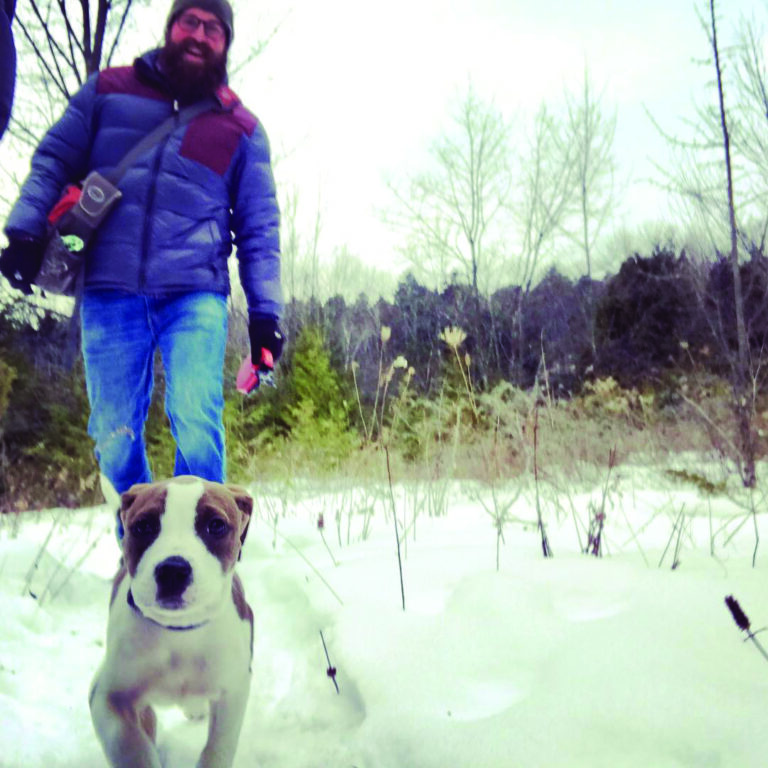 Pet-Friendly Vacations