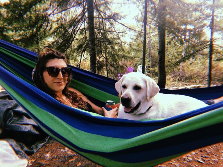 Pet-Friendly Vacations