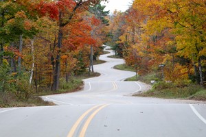 Local Communities A open and super curvy road flanked by trees in fall color