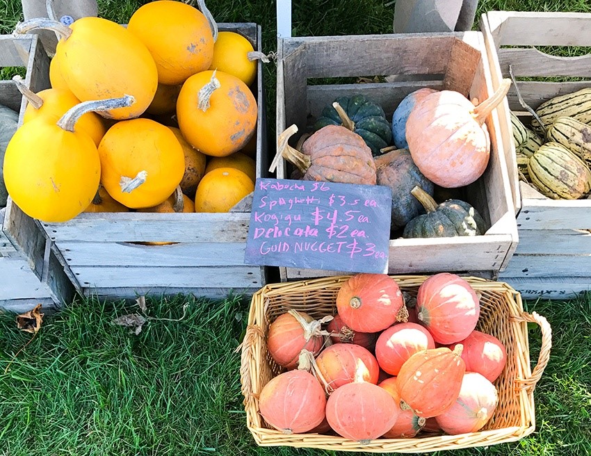 Orchards & Farms Crates of gords.