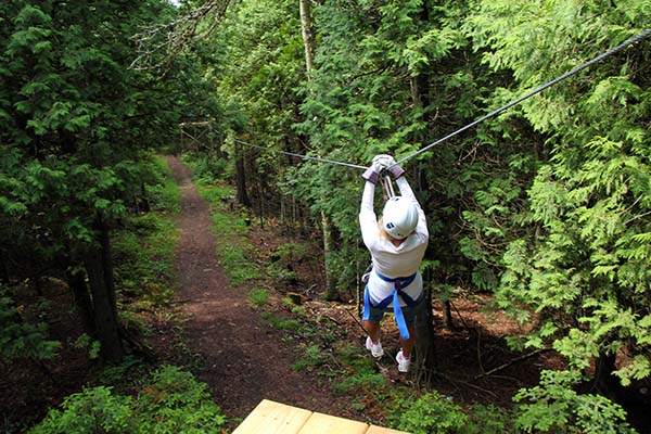 Rowleys Bay Get up in the trees