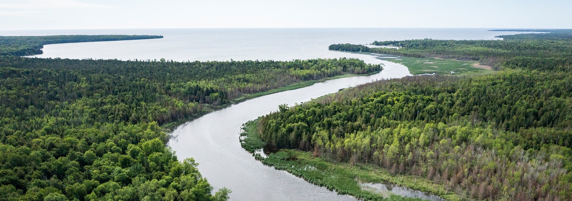 Travel Green Businesses A waterway winding through the trees from above.