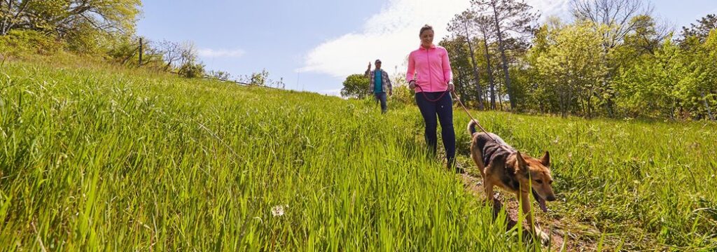 Dog Parks in Door County