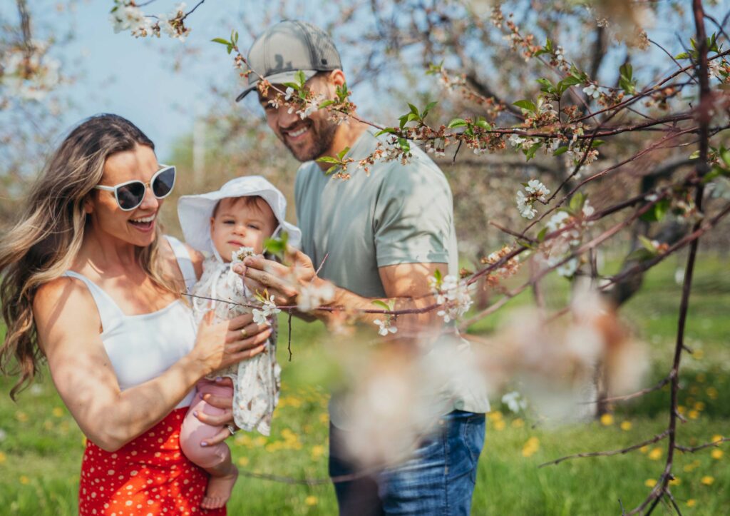 Family among cherry blossoms