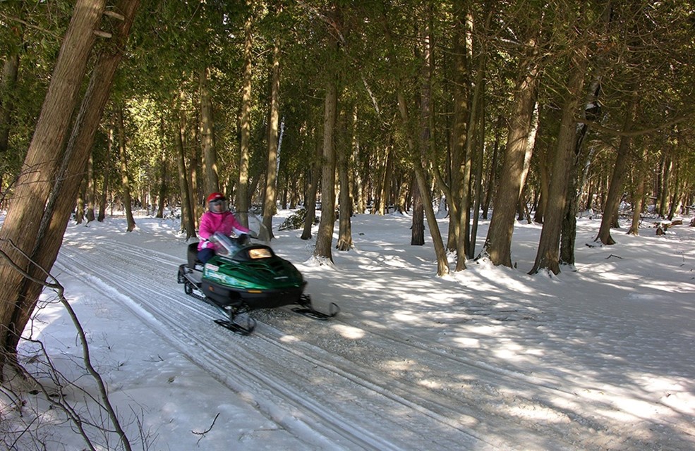 Snowmobiling A snowmobiler driving through the woods.