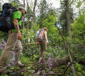 Weddings Couple hiking through the woods