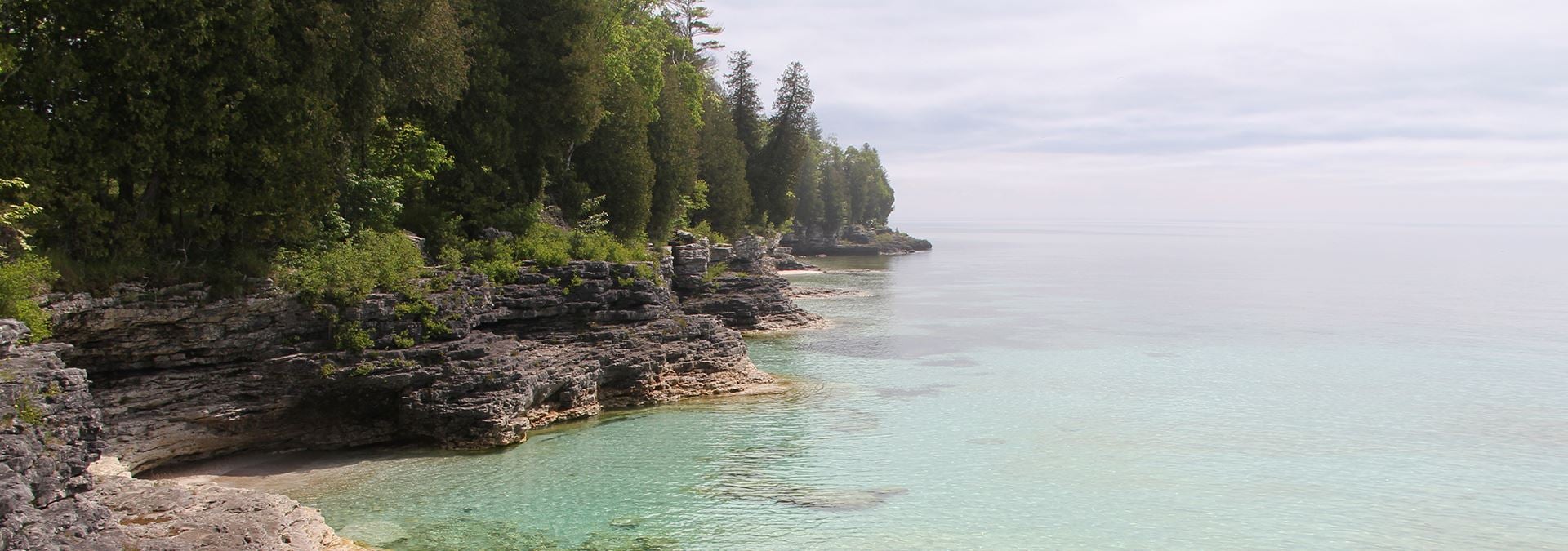 Cave Point County Park Trees lining the rocky lakeshore at Cave Point.