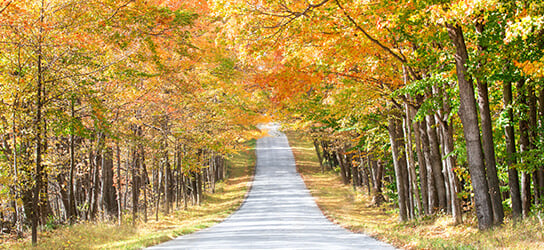 Fall in Door County
