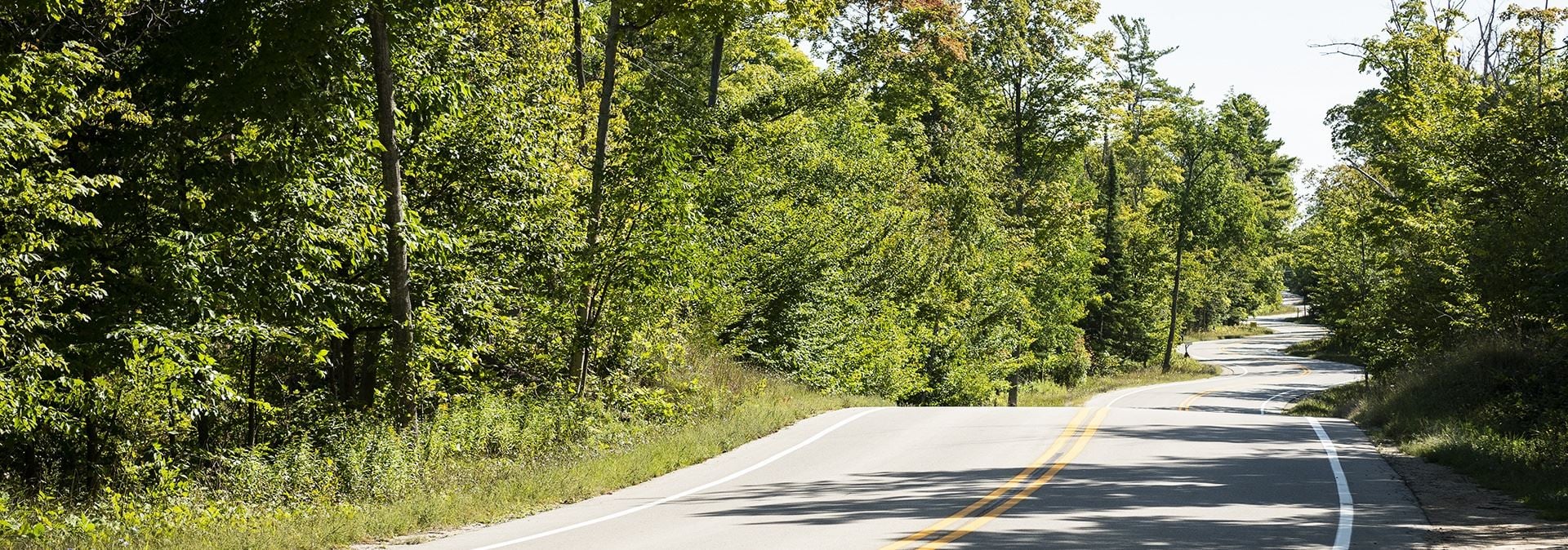 Door County Coastal Byway A tree-lined road.