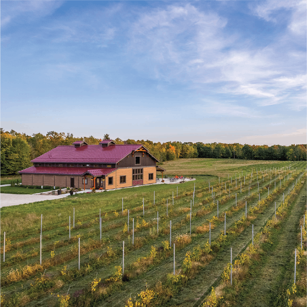 Newsletter Anchored Roots Vineyard & Winery