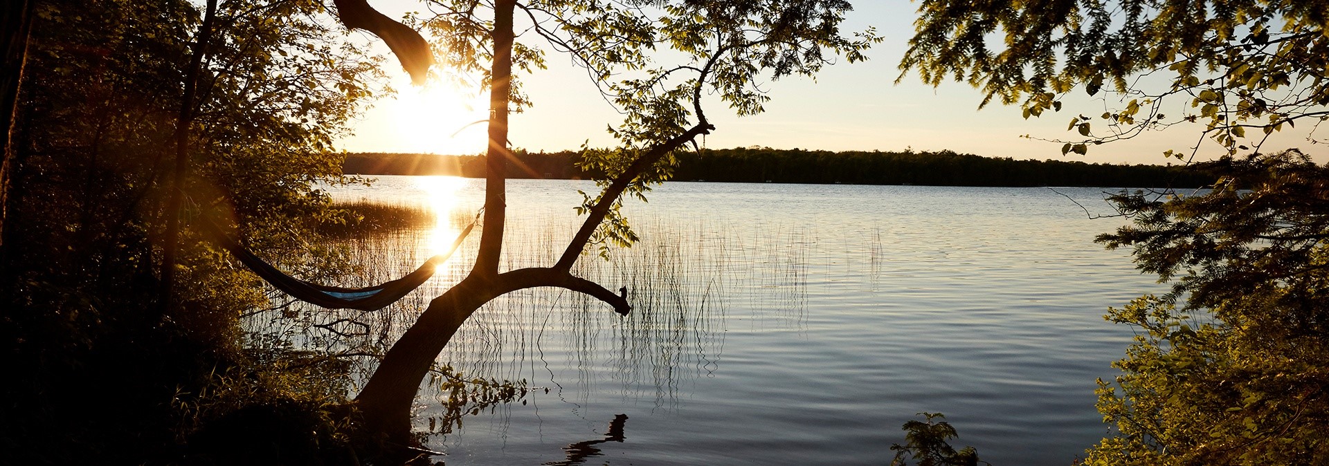 Newport State Park Trail Maps Sunset over the lake looking through the trees