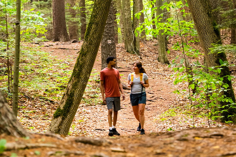 Park It: Door County's Parks Newport State Park