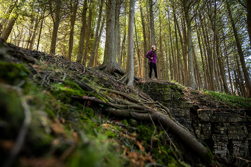 Parks in Door County Looking up at a woman hiking in the trees