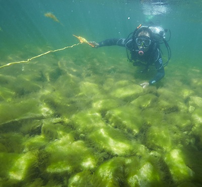 List of Shipwrecks in Door County A diver explores a shipwreck beneath the water.