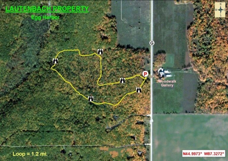 Birding Maps Aerial view map of Lautenbach Property in Egg Harbor