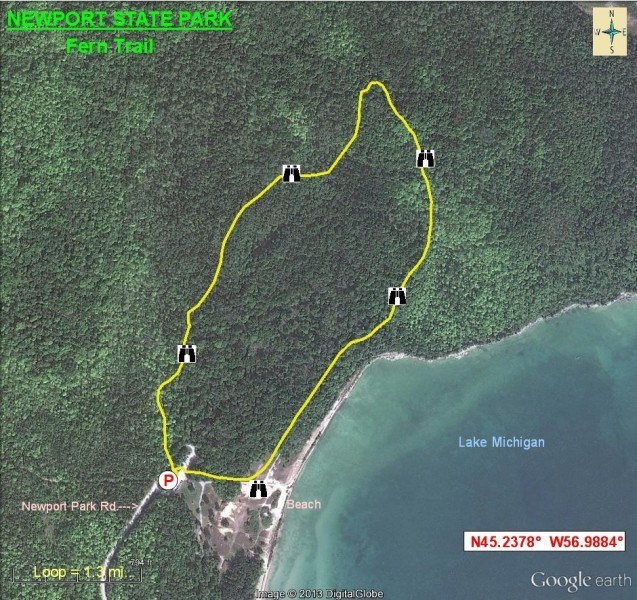Birding Maps Aerial view map of Fern Trail in Newport State Park