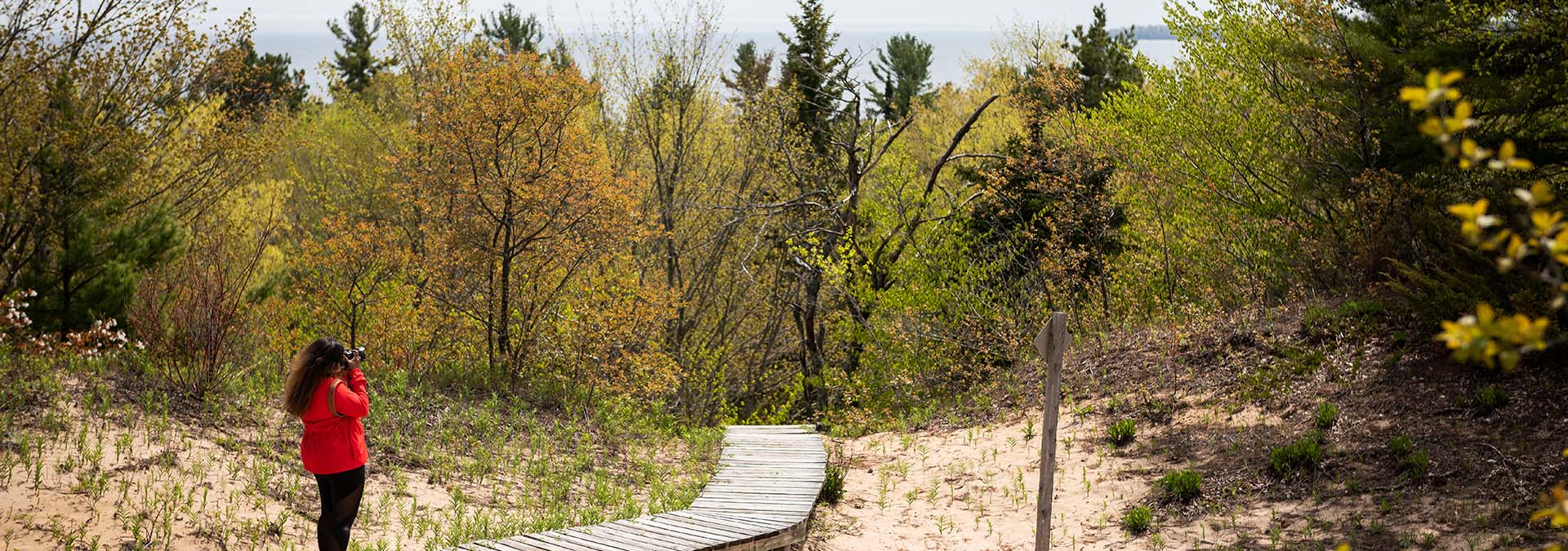 Parks in Door County A woman on a boardwalk through the trees