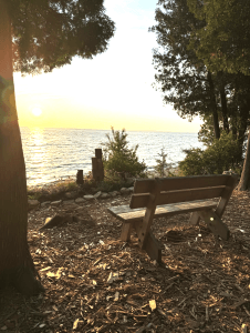 Newsletter Newsletter