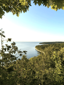 Newsletter Newsletter